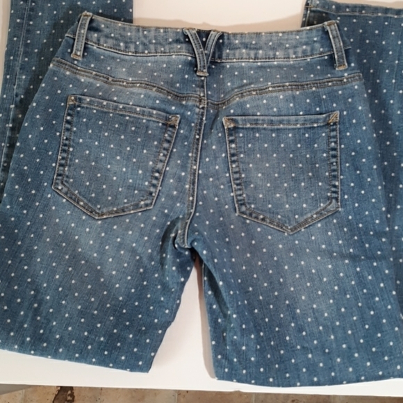 Chincos Platinum Skimmer 000 - Picture 1 of 3